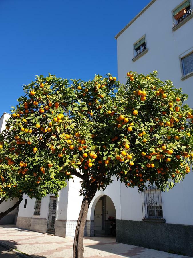 Ferienwohnung Modern Family Flat Málaga Exterior foto